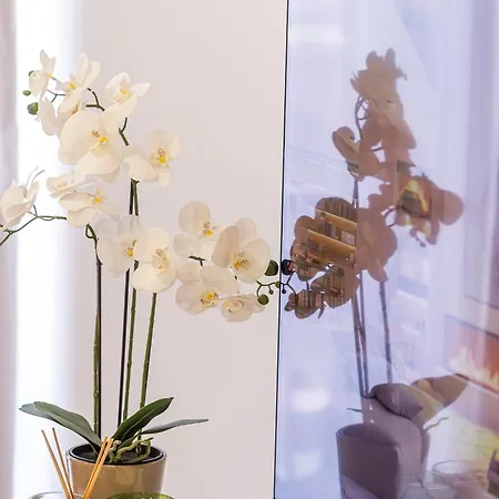 Sado River Haven Apartament