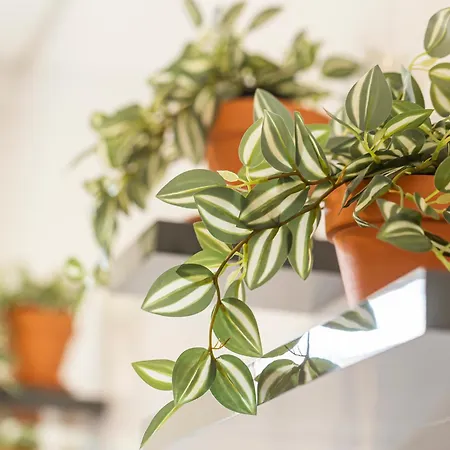 Apartament Sado River Haven *