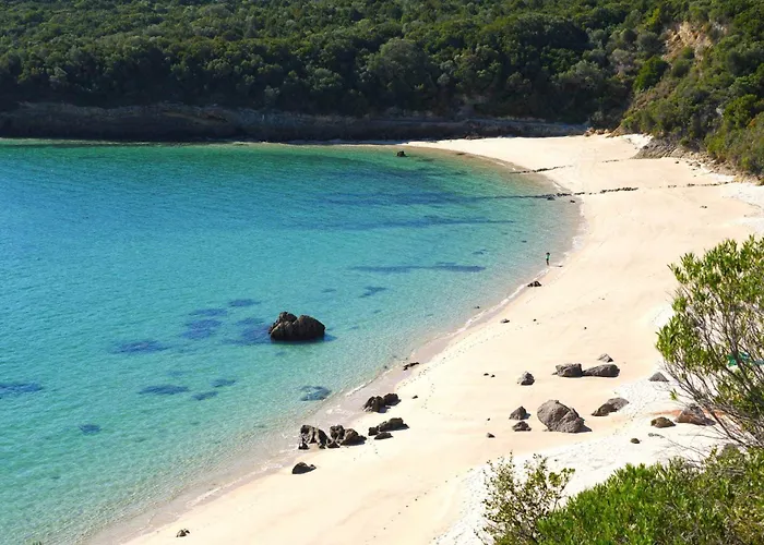 Sado River Haven 塞图巴尔