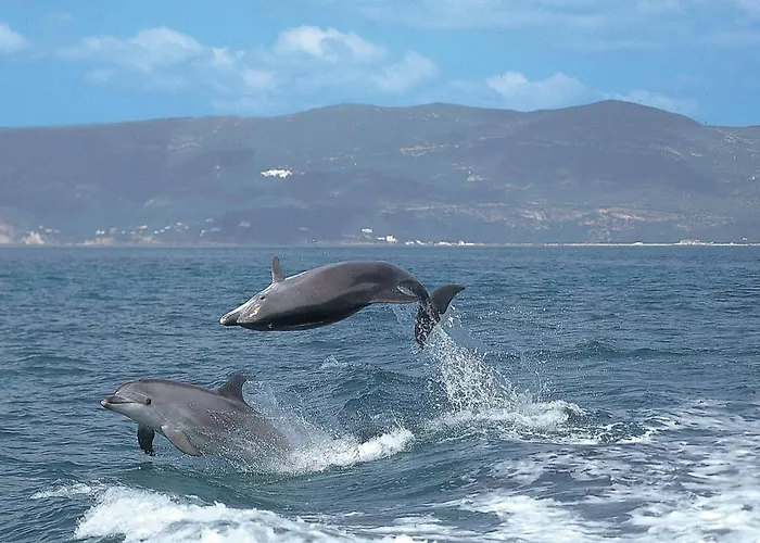 Sado River Haven דירה שטובל