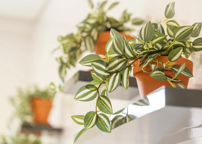 דירה Sado River Haven *